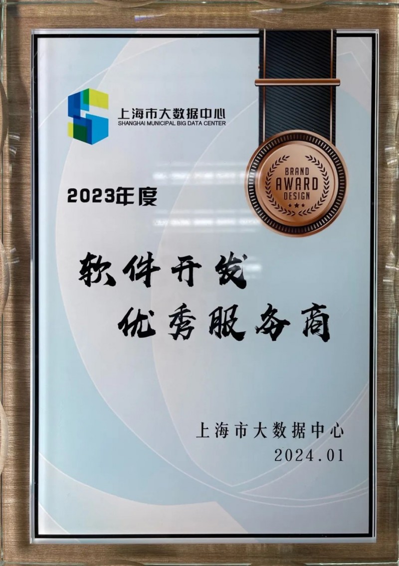 上海软件开发助力企业数字化转型